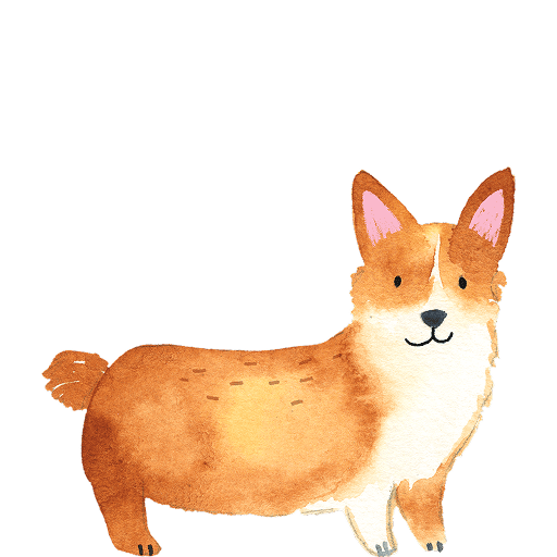 Watercolor illustration of a tan and white corgi standing in profile. 