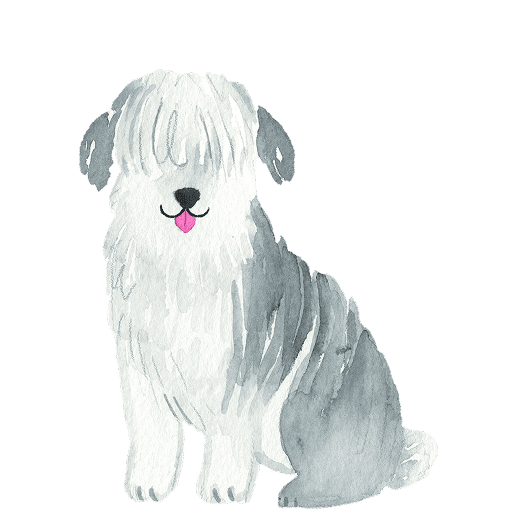 Watercolor illustration of a fluffy grey and white shaggy-coated dog sitting and facing forward.