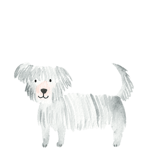 Watercolor illustration of a small grey and white shaggy-coated dog standing and facing forward. 