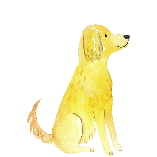Watercolor illustration of a yellow-coated dog sitting and facing forward with its head turned.